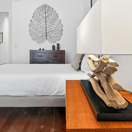 Elegant S. Miguel Apartament *